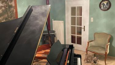 Musikalische Ferienwohnung mit Rheinblick - Foto 4