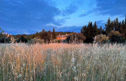 Mas des Lavandes - 3 gîtes de charme au calme avec grande piscine en Drôme-Provençale - Foto 42
