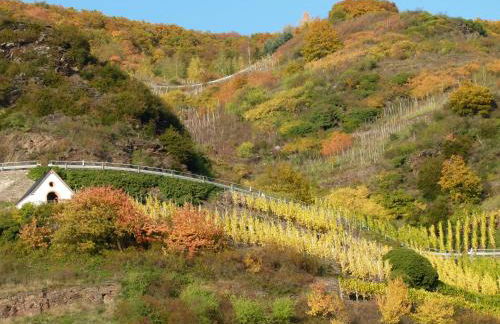 Mosel-Apart Rudorfer - Foto 15