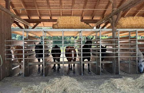 4 Star Maisonnette mit Kaiser Blick, Sauna, Schwimmbad - Foto 18