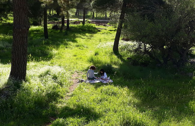 Hamakom Belrom - Photo 19