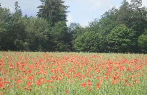 Holiday Home Mit Liebe ausgestattetes Haus im Naturpark by Interhome - Photo 20