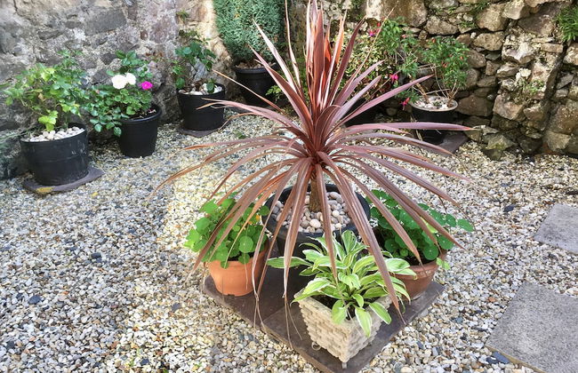 Chapel St Apartments - Foto 55