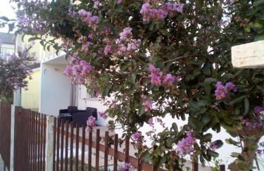 The judas trees - Foto 23