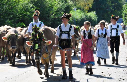 Bergesgrün - Photo 52