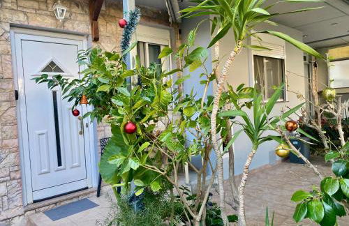 Athens Victoria's studio - Foto 29