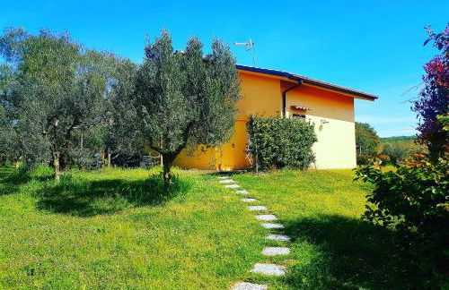 Villa Oliva - Foto 5