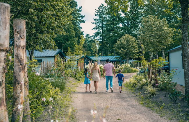 Comfy Chalet With Dishwasher, Near Utrecht - Photo 39