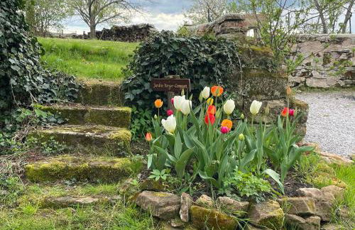 Gîte L'instant Vosges - Foto 40