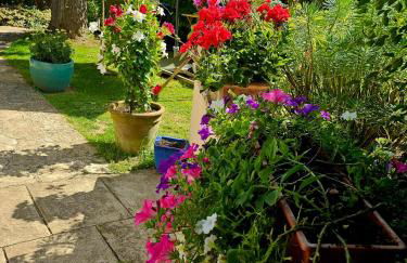 Clair logis - Foto 51