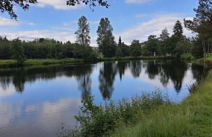 Ferienwohnung Seeblick mit Balkon - Mein Schwarzwaldhäusle - Foto 37