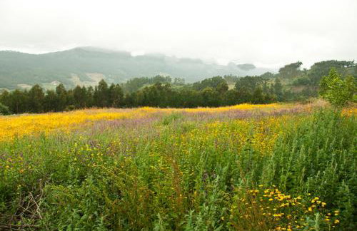 La Casa de la Abuela Milagros - Photo 31