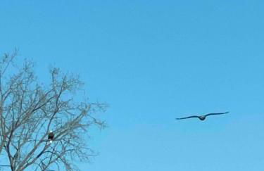 Pristine Walkable Downtown 2BR Apartment - Foto 21