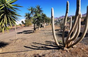 Villa Gozo Holiday house - Photo 35