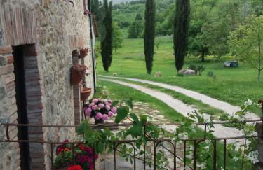 Podere Pian di Cava - Foto 1