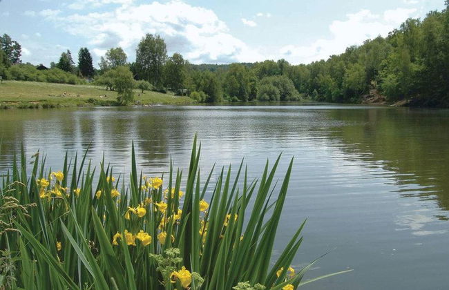 2 bedroom House in Liberec with garden - Photo 32