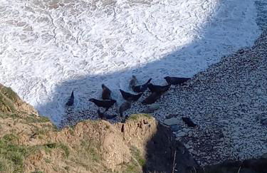 2 Beach House - Foto 20