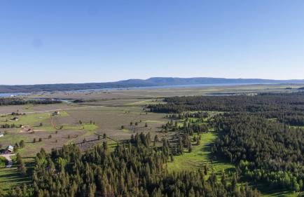 Lumberjack Lodge by KABINO Hot Tub Fire Pit Satellite WiFi Grill Large Porch - Foto 47