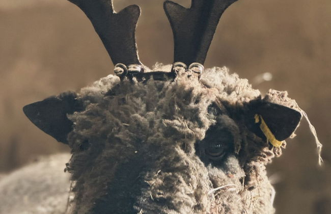 Gratton Grange Farm Holiday Cottage - Foto 33