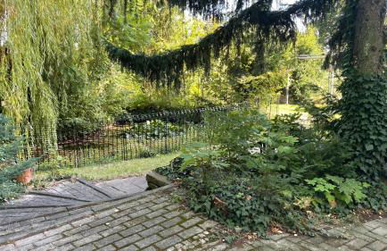 Ferienhaus-Natur-Elbblick-Vollausstattung - Foto 3