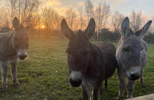 Appartement entre terre et mer à proximité de Honfleur - Photo 18