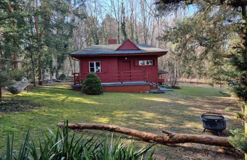 Boszkowski Azyl - Foto 13