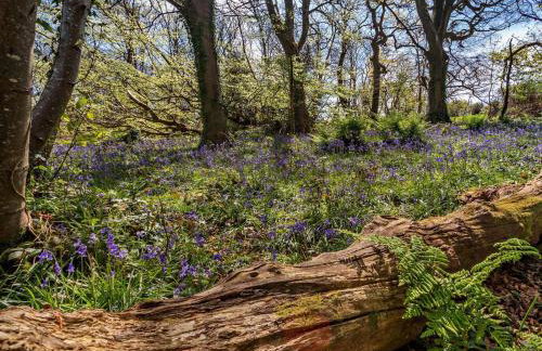 5 Bed in Ventnor oc-94494 - Foto 25