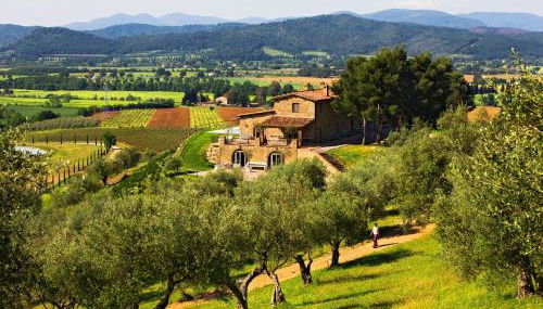 Wine Resort Conti di San Bonifacio - Foto 4, Garden view