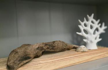 Welsh Bayview Retreat 2-Bed Caravan & 2-Bed Chalet at Clarach Bay Holiday Village - Foto 45