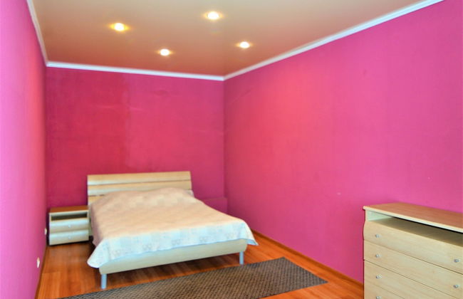 Megapolis Apartments on Moskovsky prospect 112 – apt 547 - Photo 4