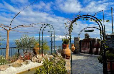 To giataki tou pappou - Foto 29