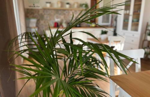 Ulivi di Cleo - Foto 36