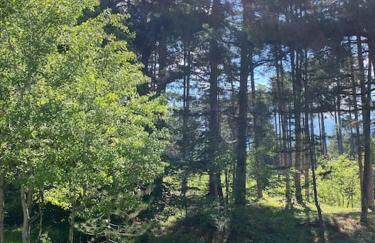 Appartamento immerso nel verde - Foto 73