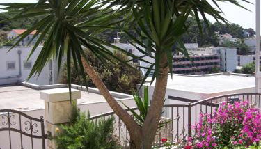 Apartments Prosperina Hvar - Foto 3, Garden