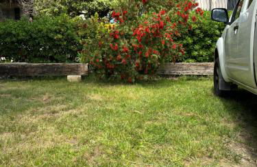 Les Flo location - Foto 6