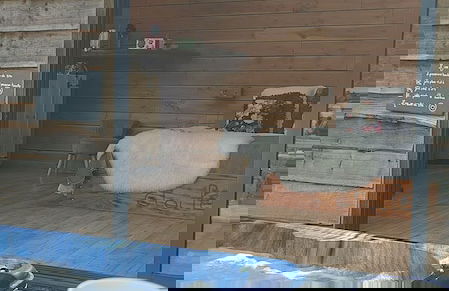 DOMAINE RÊVES ETOILÉS - Foto 11