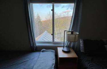 Summit Haus Golf and Liftside Penthouse - Foto 19