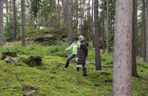 Ferienhaus Martina - Foto 19