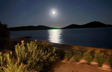 Beachvilla Haus 24 - Photo 25