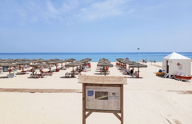 Rota do Sol - Foto 22