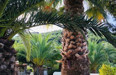 Le Jas des Oliviers 3 étoiles - Foto 2