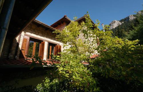 Τα Πέτρινα της Ελάτης - Petrina Elatis - Foto 29