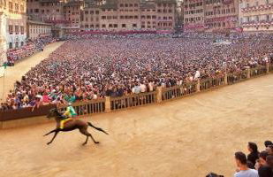 Laura Chianti Vacanze - Photo 31