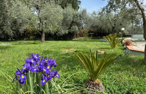 La Piccola Provenza - Foto 11