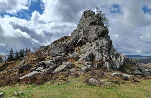 Ferienhaus in der Nähe der Skipiste - Foto 41