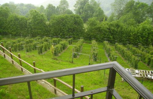 Agriturismo Trapletti - Foto 20