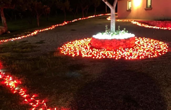 Agriturismo Modi - Foto 51