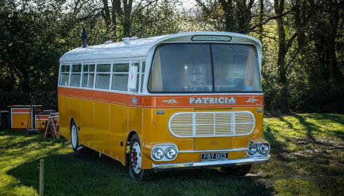 Patricia the Maltese Bus at Field of Dreams - Foto 3