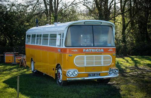 Patricia the Maltese Bus at Field of Dreams - Foto 3