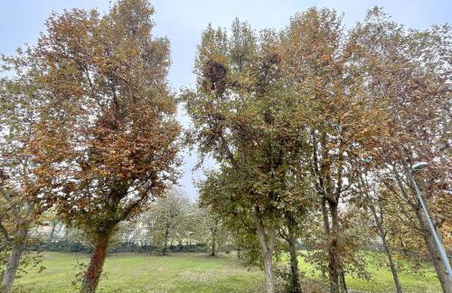 San Raffaele's House - Foto 21